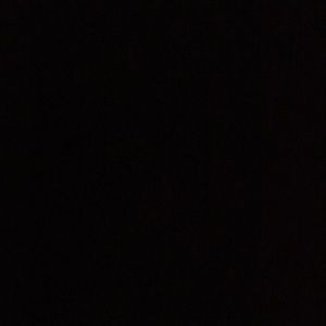 Meet your Posher, Loretta